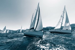 sailing regatta